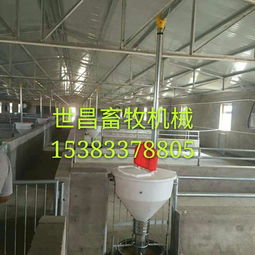 養豬設備廠供應自動下料桶 生產廠家、價格解析與羊場應用前景